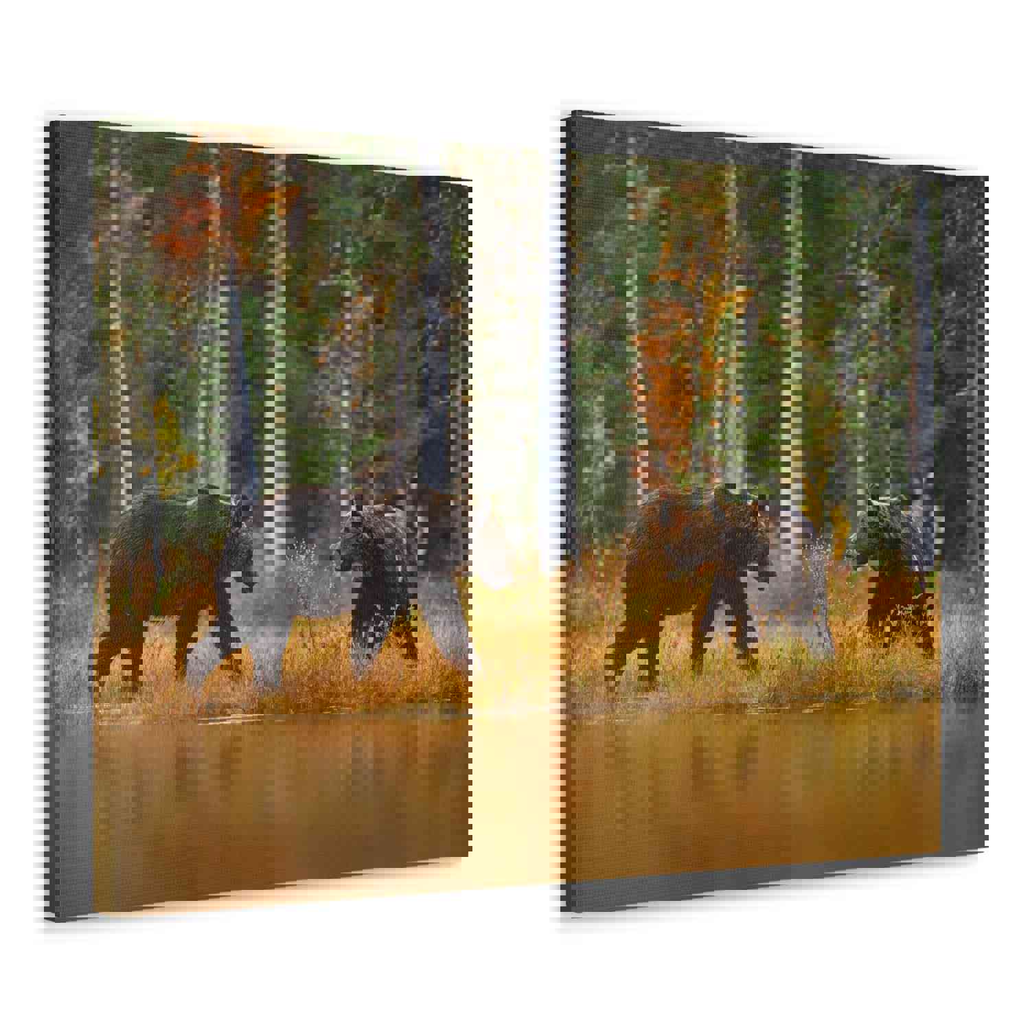 Spring Forest Bears Nature Wilderness Photography Canvas Wall Art for Home Decor