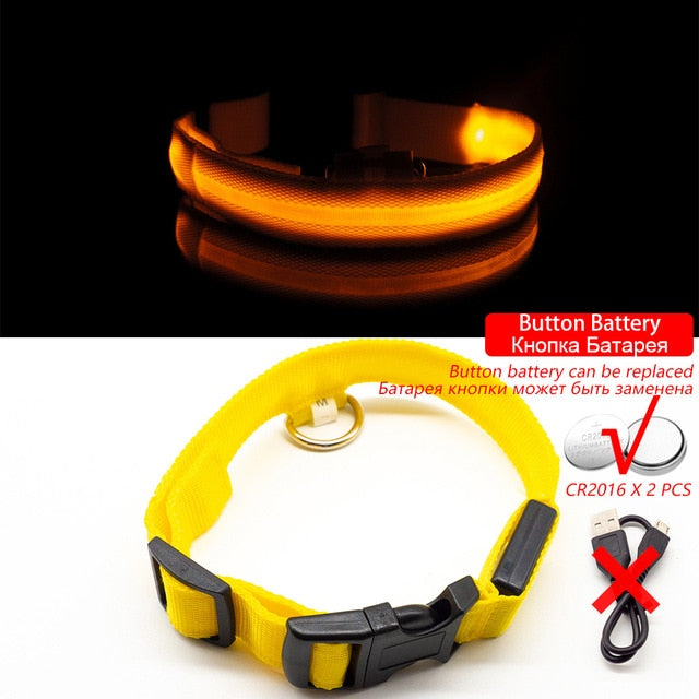 USB Charging LED Dog Collar - Anti-Lost & Safety Collar for Small/Medium/Large Dogs