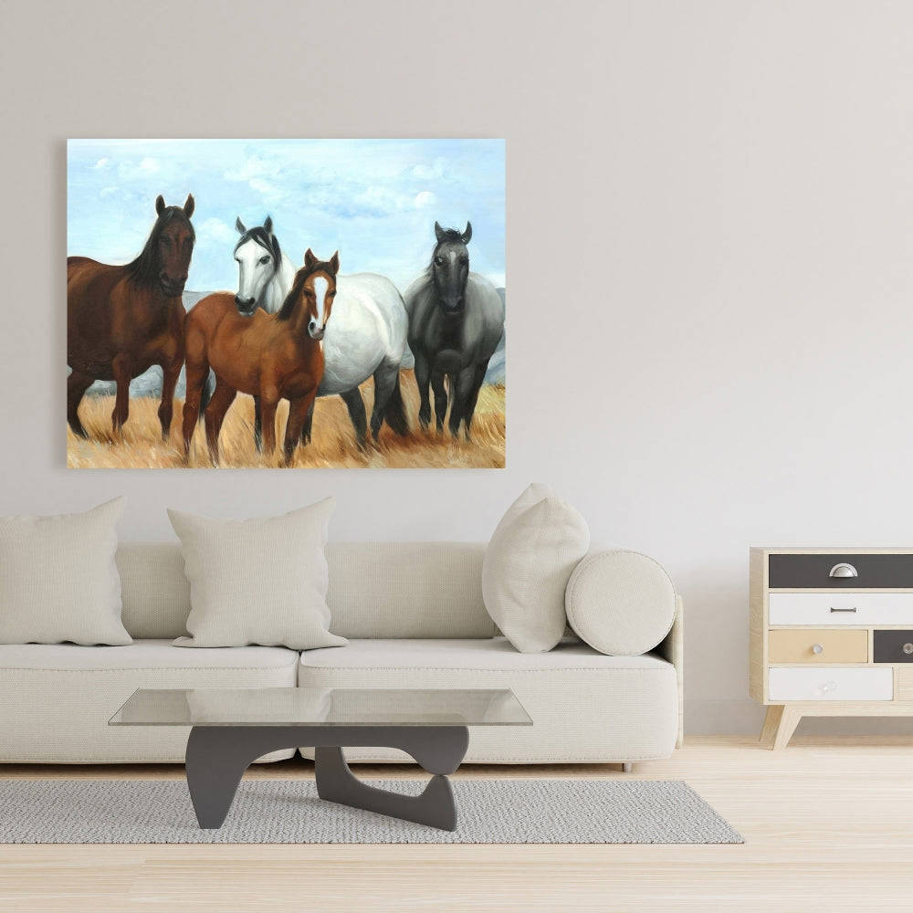 Horses In The Meadow By The Sun - Fine Art Gallery Wrapped Canvas 16x48