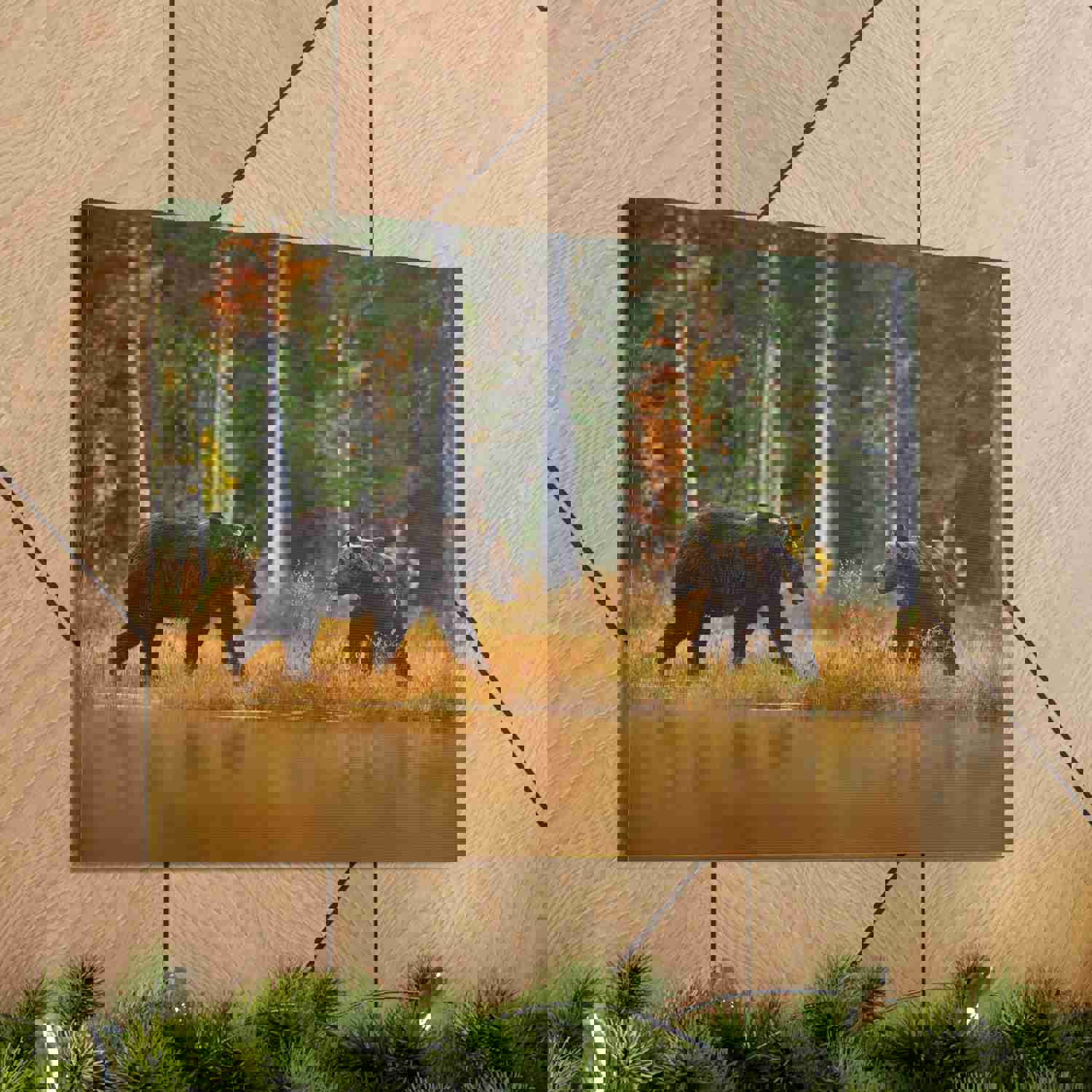 Spring Forest Bears Nature Wilderness Photography Canvas Wall Art for Home Decor