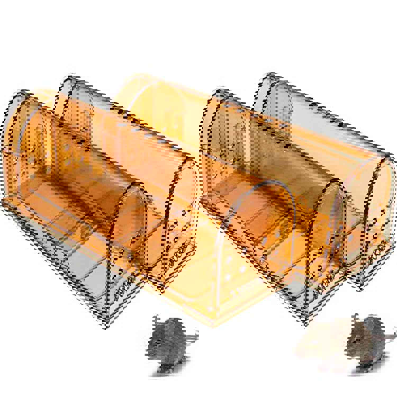 GEROSSI Humane Mouse Traps - Safe, Reusable, and Effective for Indoor/Outdoor Use (2 Pack, Small)