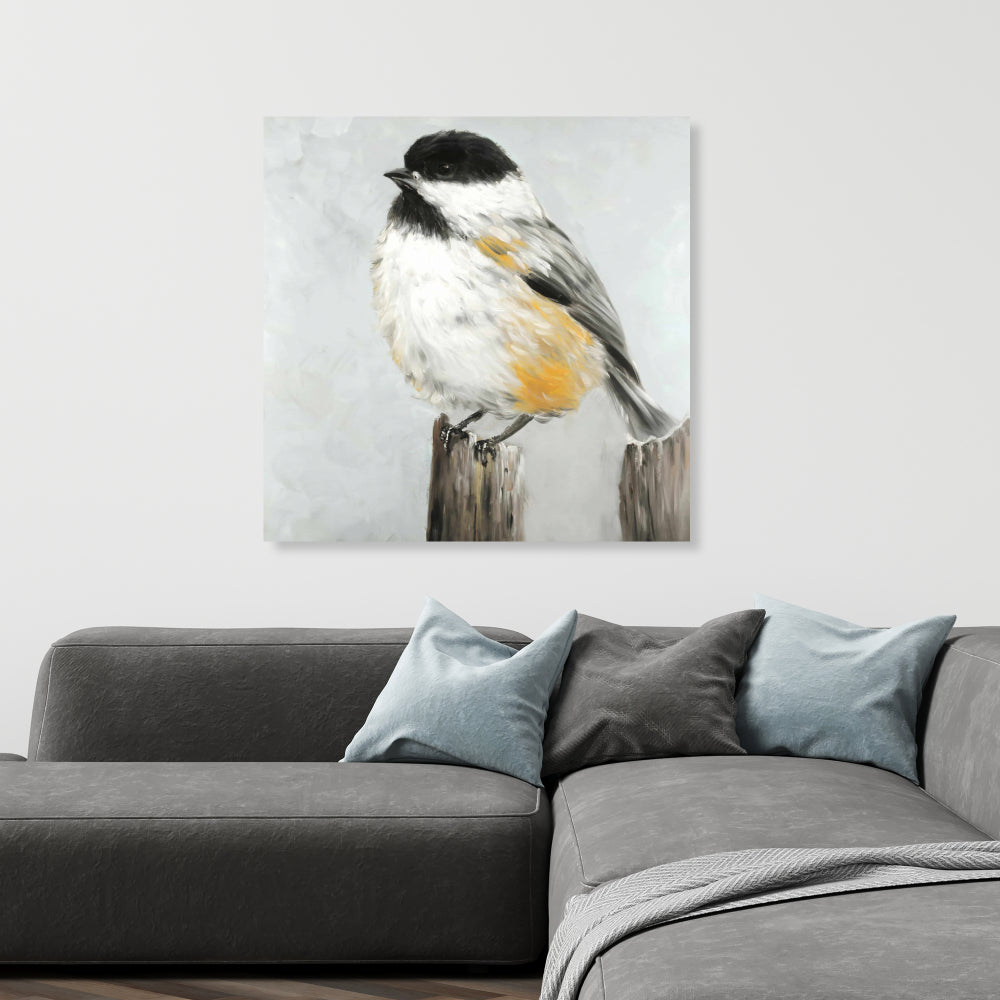 Coal Tit Bird Fine Art Gallery Wrapped Canvas 24x36
