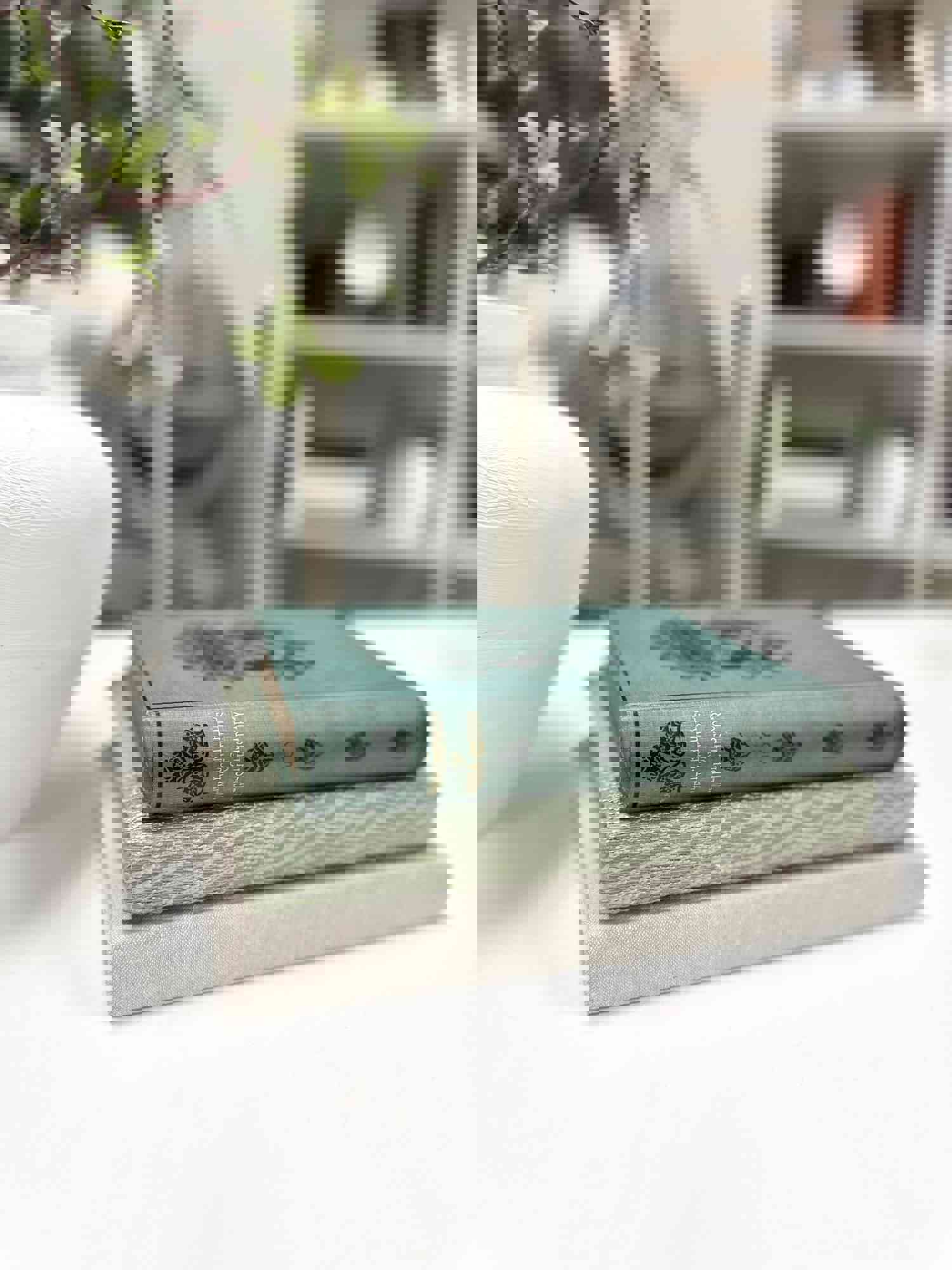 Decorative Book Bundle Set for Home Decor