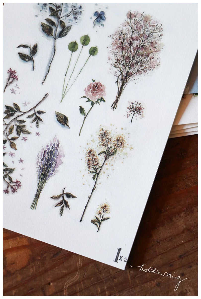 LCN Design Studio: Dried Flower Print On Stickers - 4 Sheets Set
