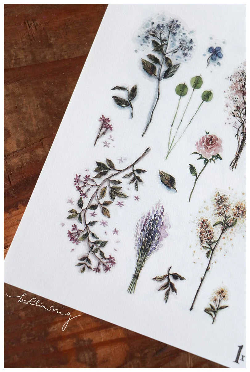 LCN Design Studio: Dried Flower Print On Stickers - 4 Sheets Set
