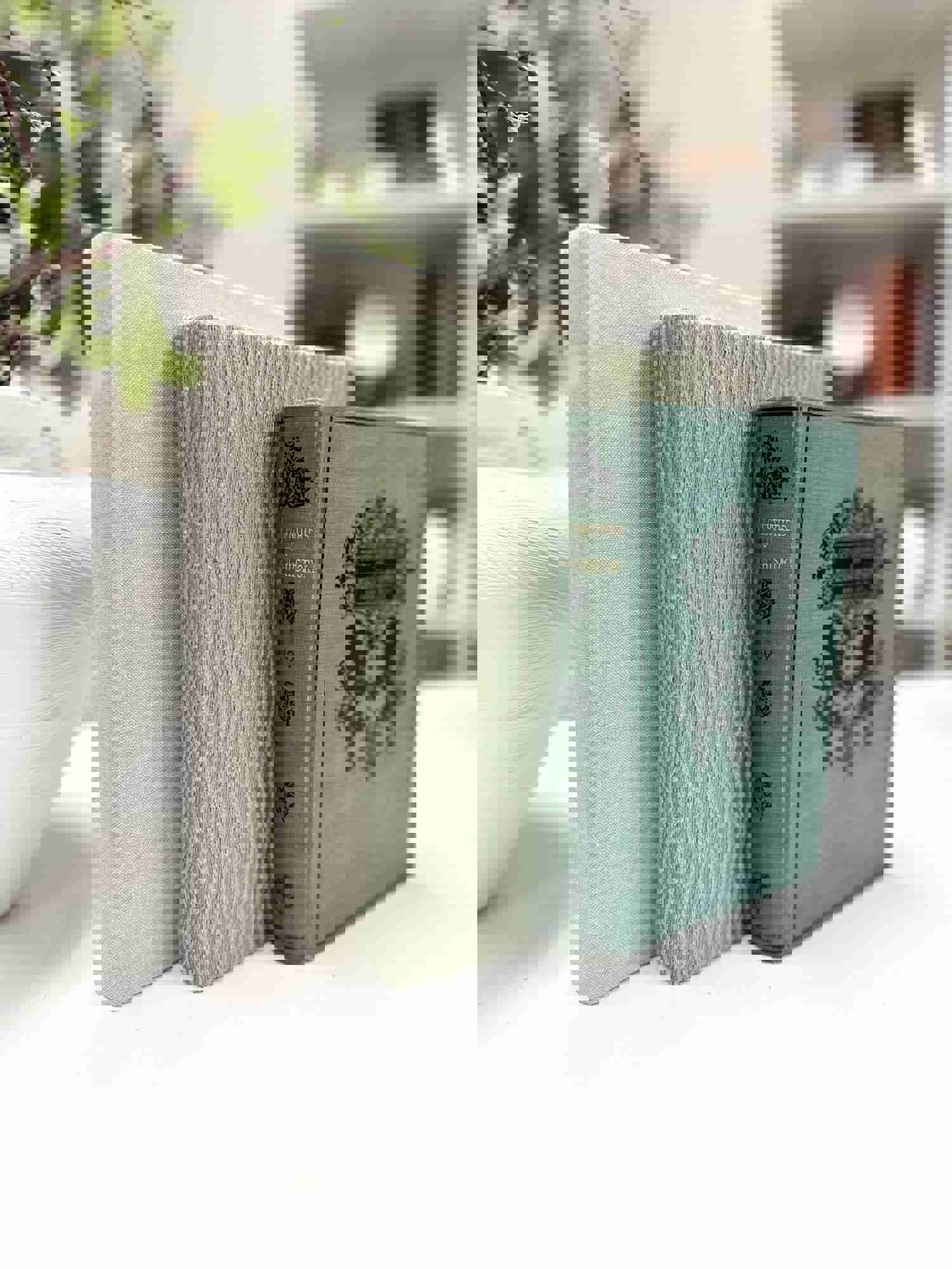 Decorative Book Bundle Set for Home Decor