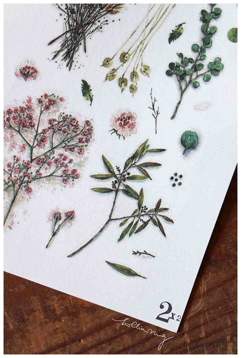 LCN Design Studio: Dried Flower Print On Stickers - 4 Sheets Set