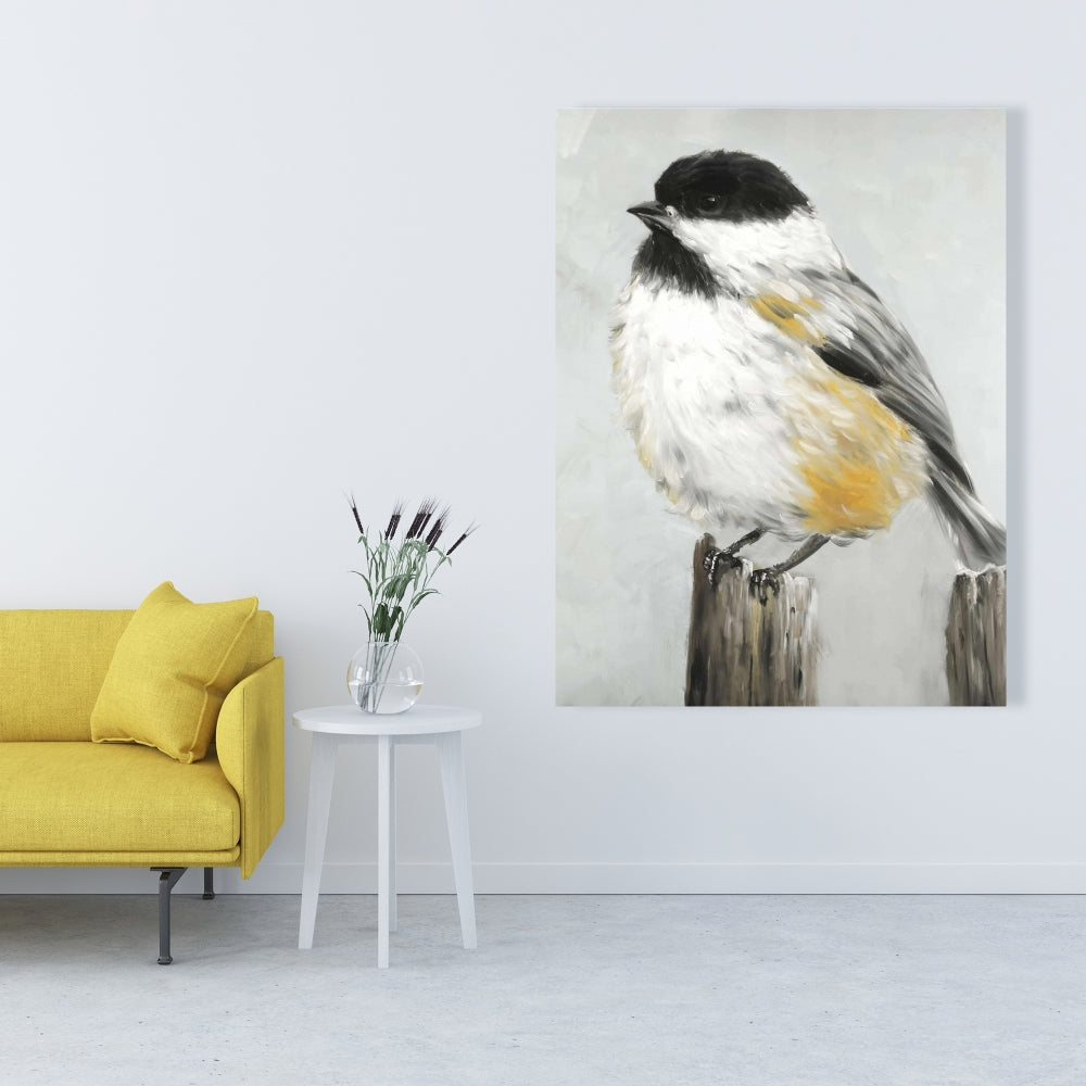 Coal Tit Bird Fine Art Gallery Wrapped Canvas 24x36