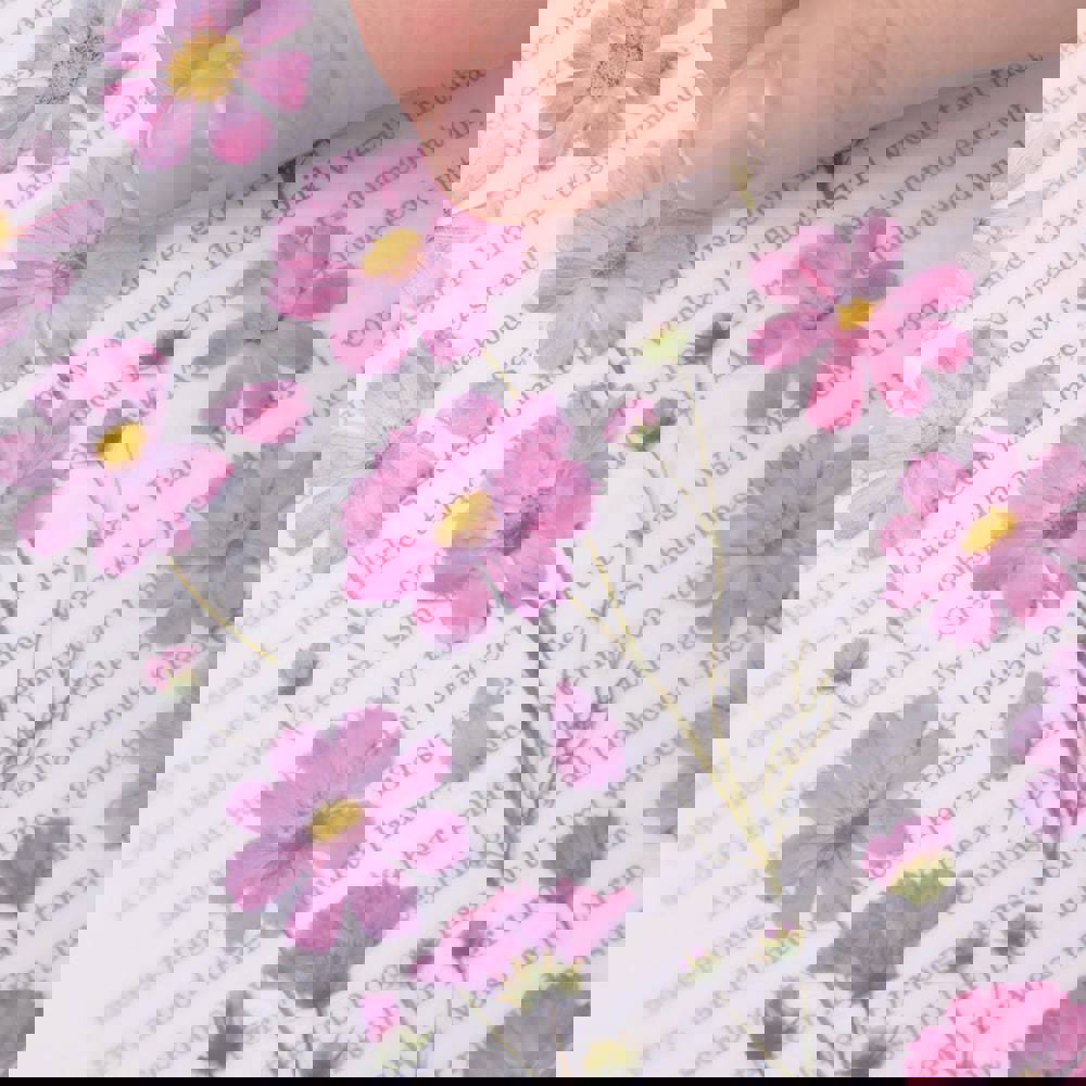 Appree Pressed Flower Stickers - Cosmos