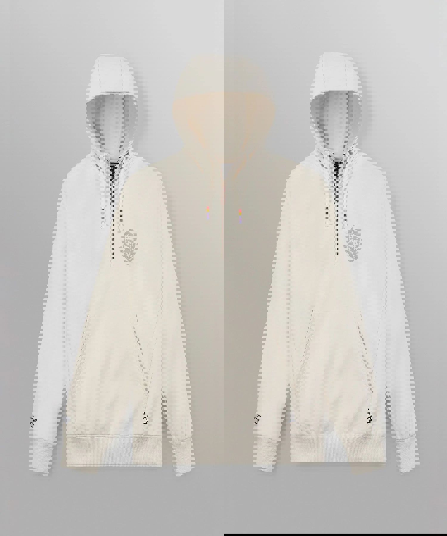 Paper Planes Collegiate Spectrum Half Zip Hoodie for Men