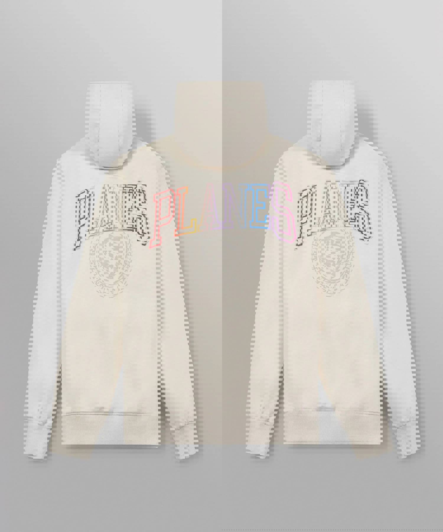 Paper Planes Collegiate Spectrum Half Zip Hoodie for Men