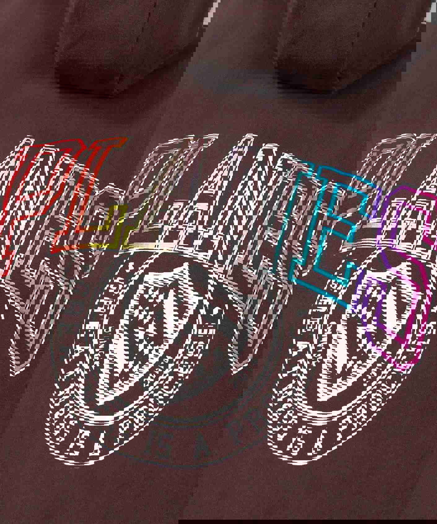 Paper Planes Collegiate Spectrum Half Zip Hoodie for Men