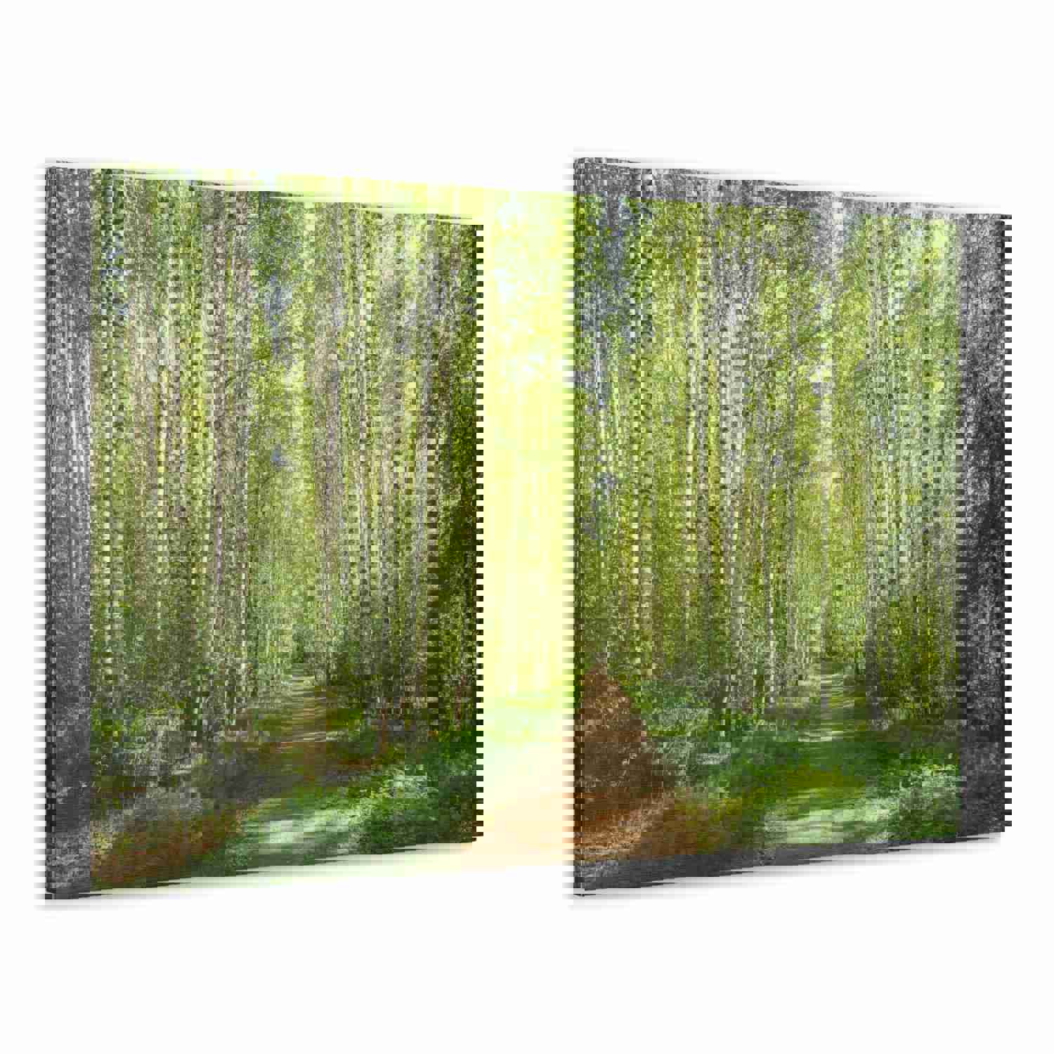 Forest Path Green Tree Nature Wilderness Photography Canvas Wall Art for Home Decor