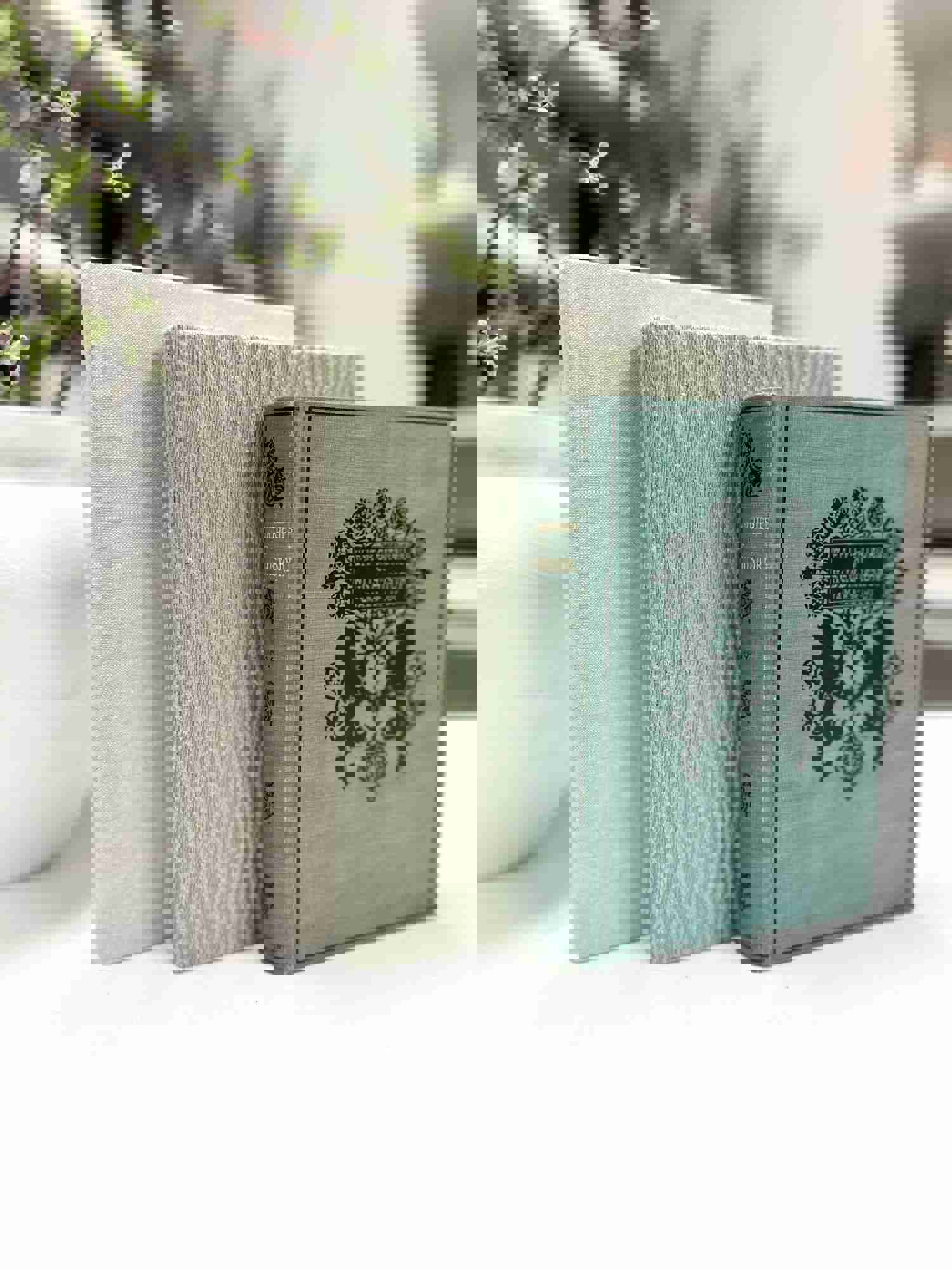 Decorative Book Bundle Set for Home Decor