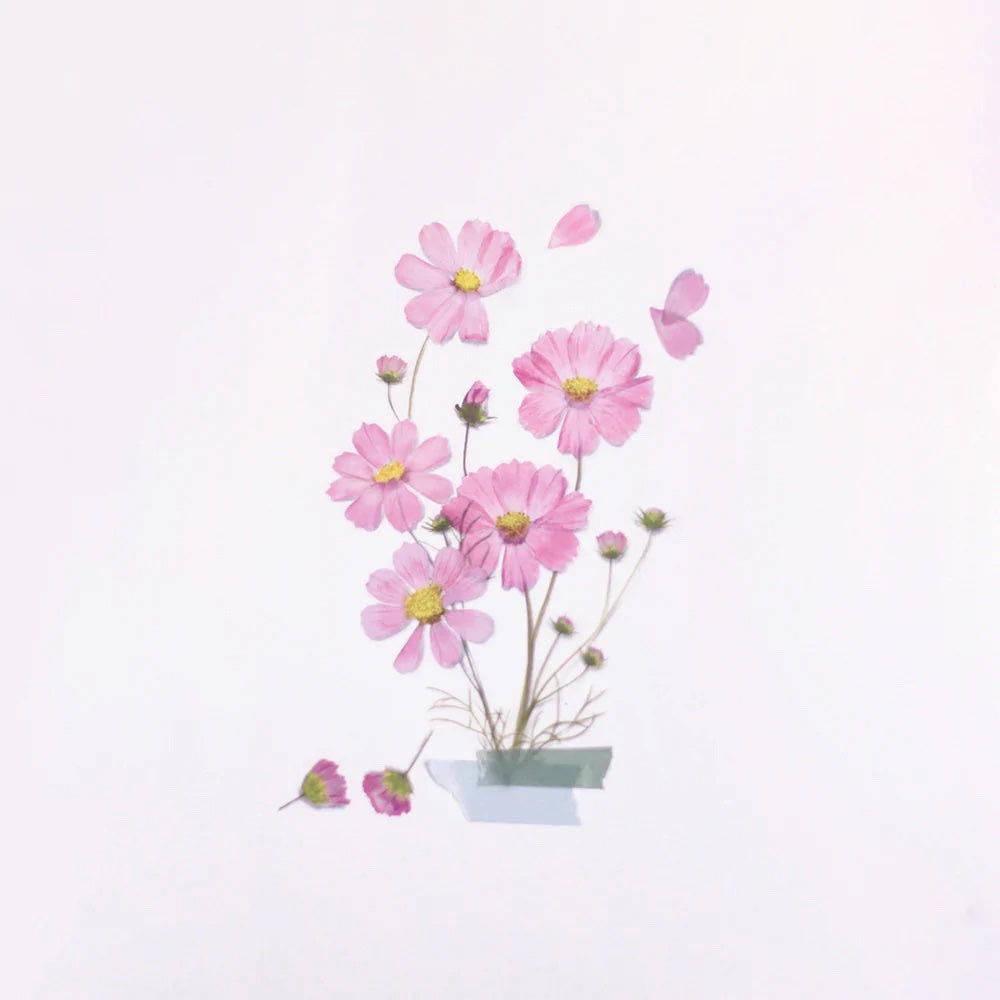 Appree Pressed Flower Stickers - Cosmos