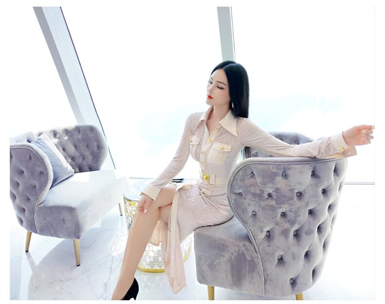 Spring & Autumn Office Lady Fashion Casual Dress for Women