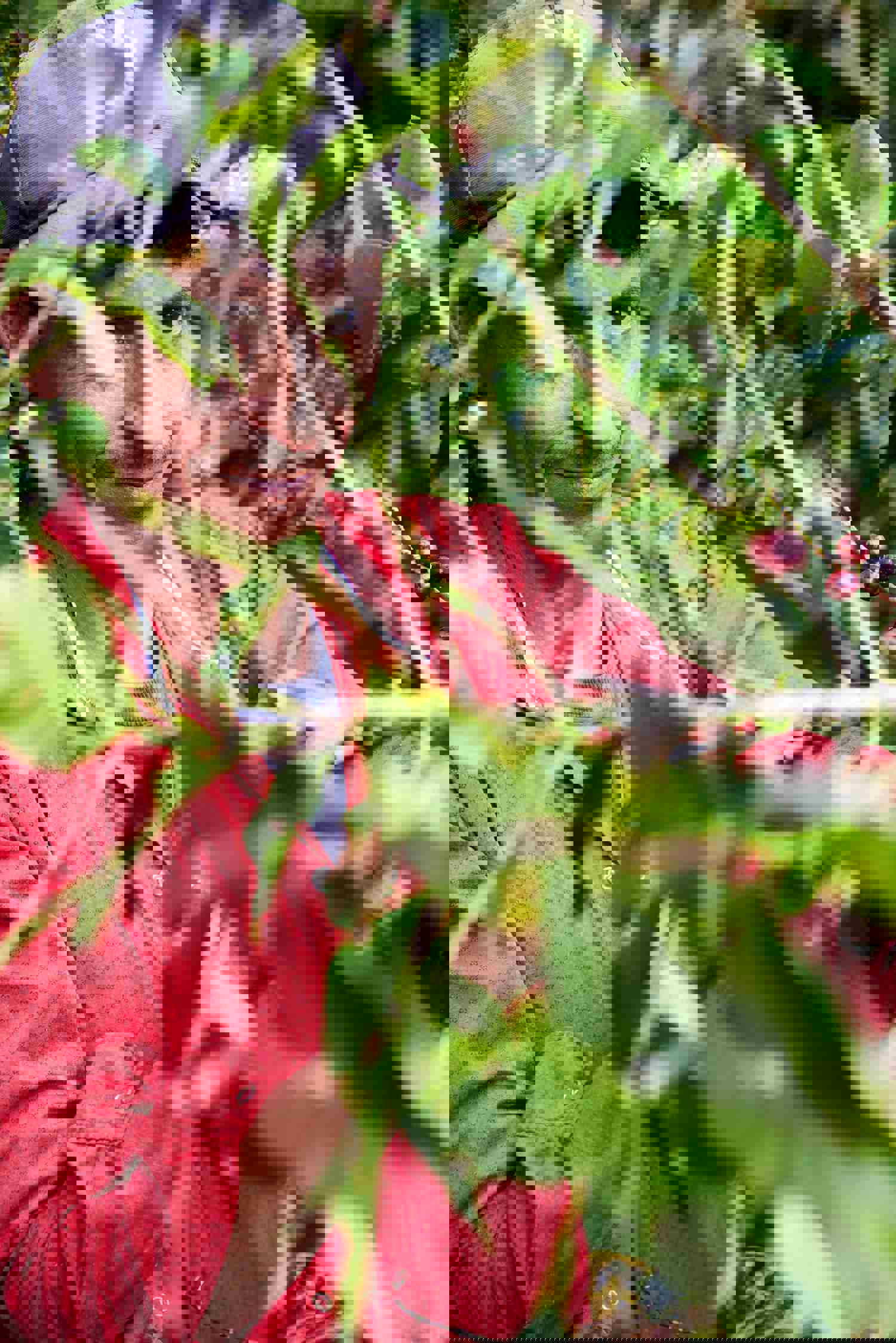 Organic Coffee & Tea Sample Gift Pack - Specialty Multipack Sampler