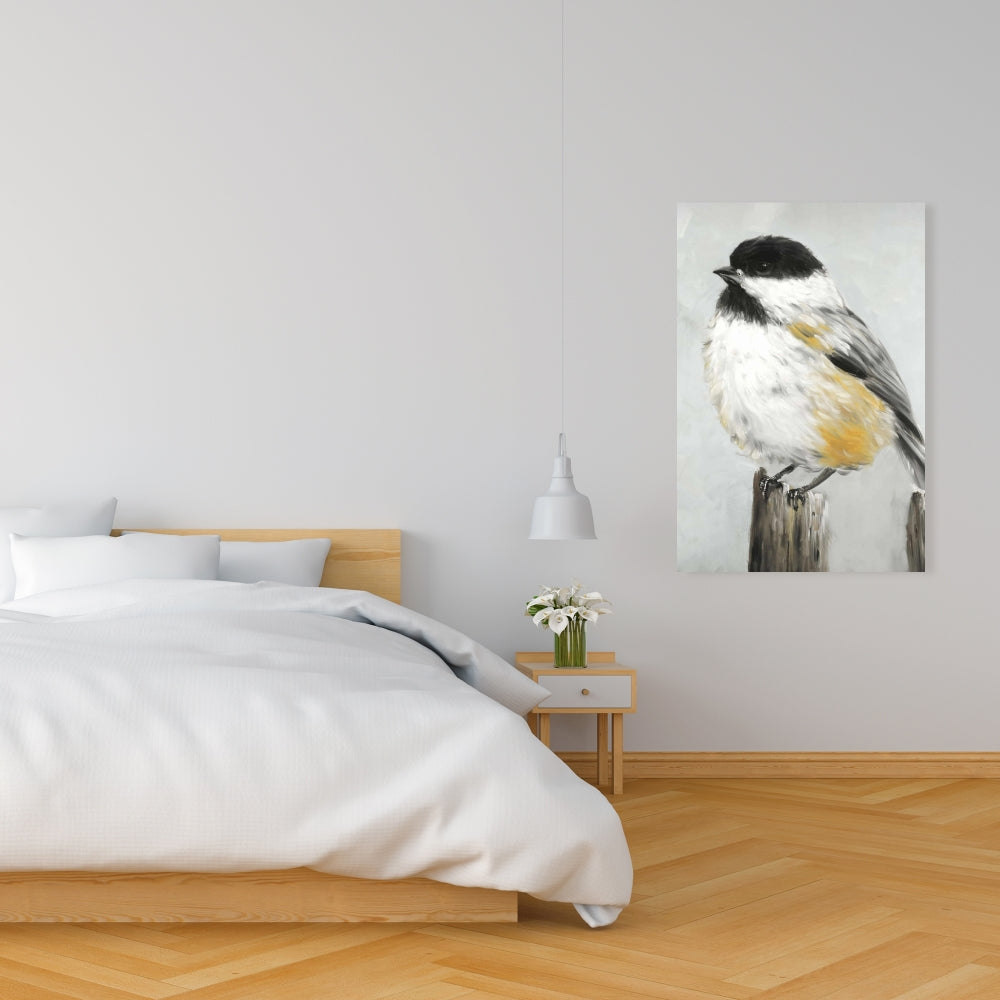 Coal Tit Bird Fine Art Gallery Wrapped Canvas 24x36