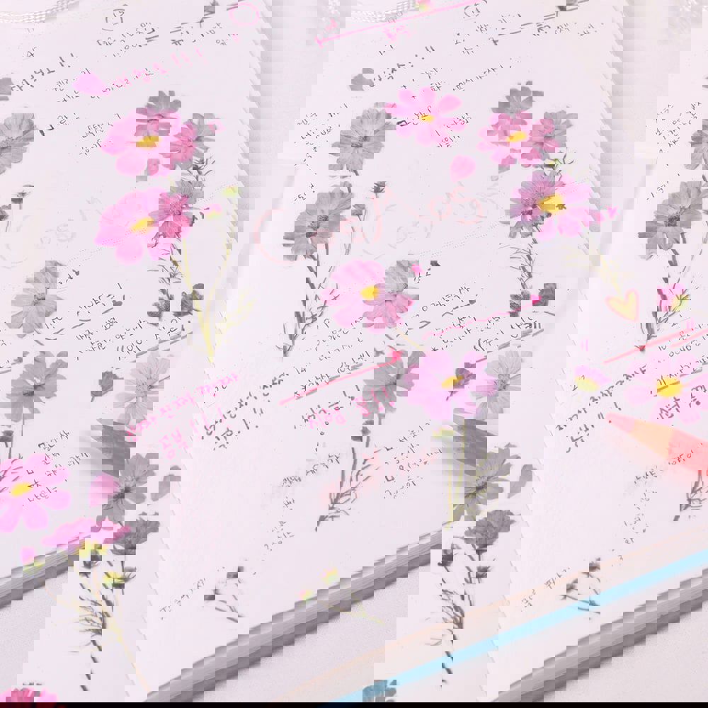 Appree Pressed Flower Stickers - Cosmos