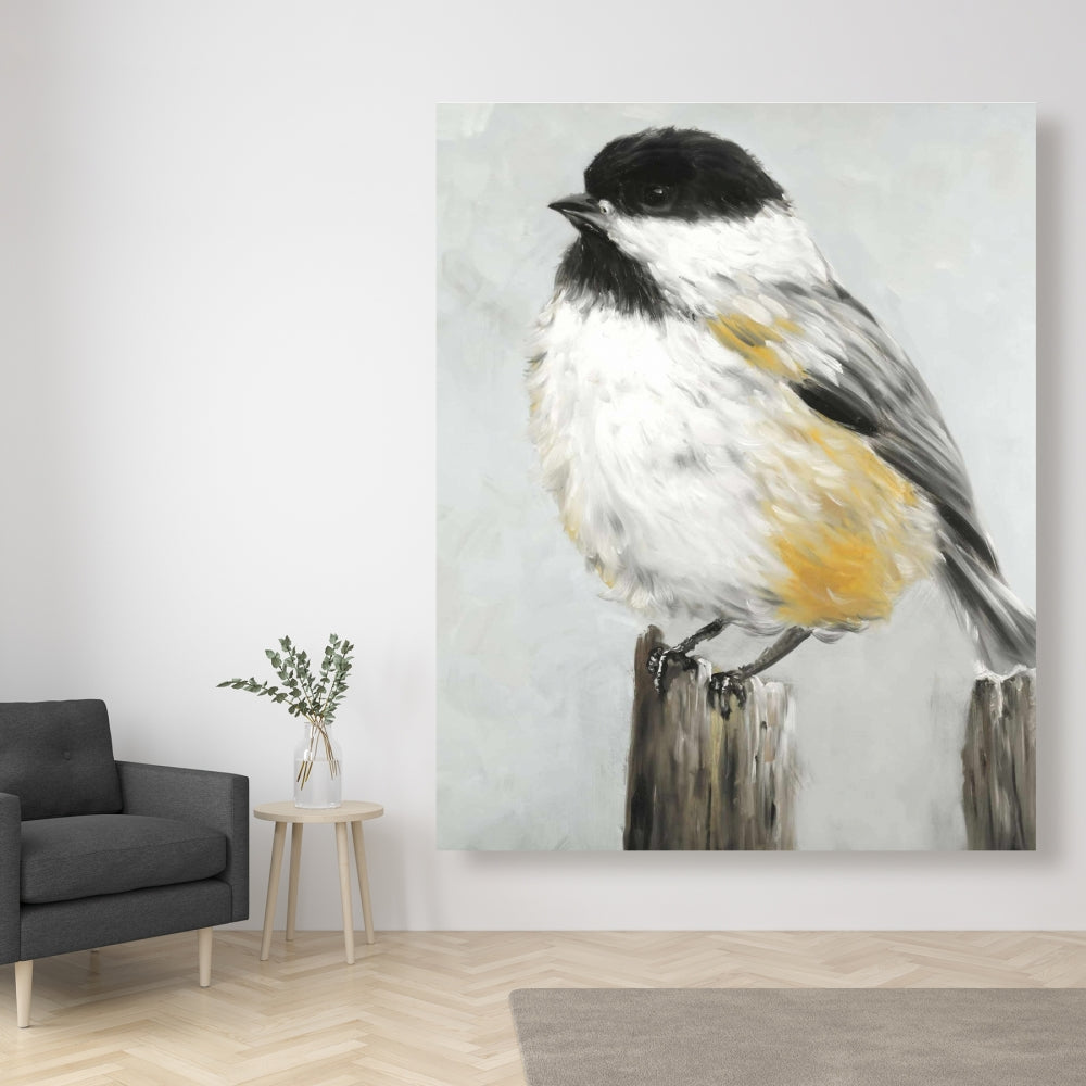 Coal Tit Bird Fine Art Gallery Wrapped Canvas 24x36