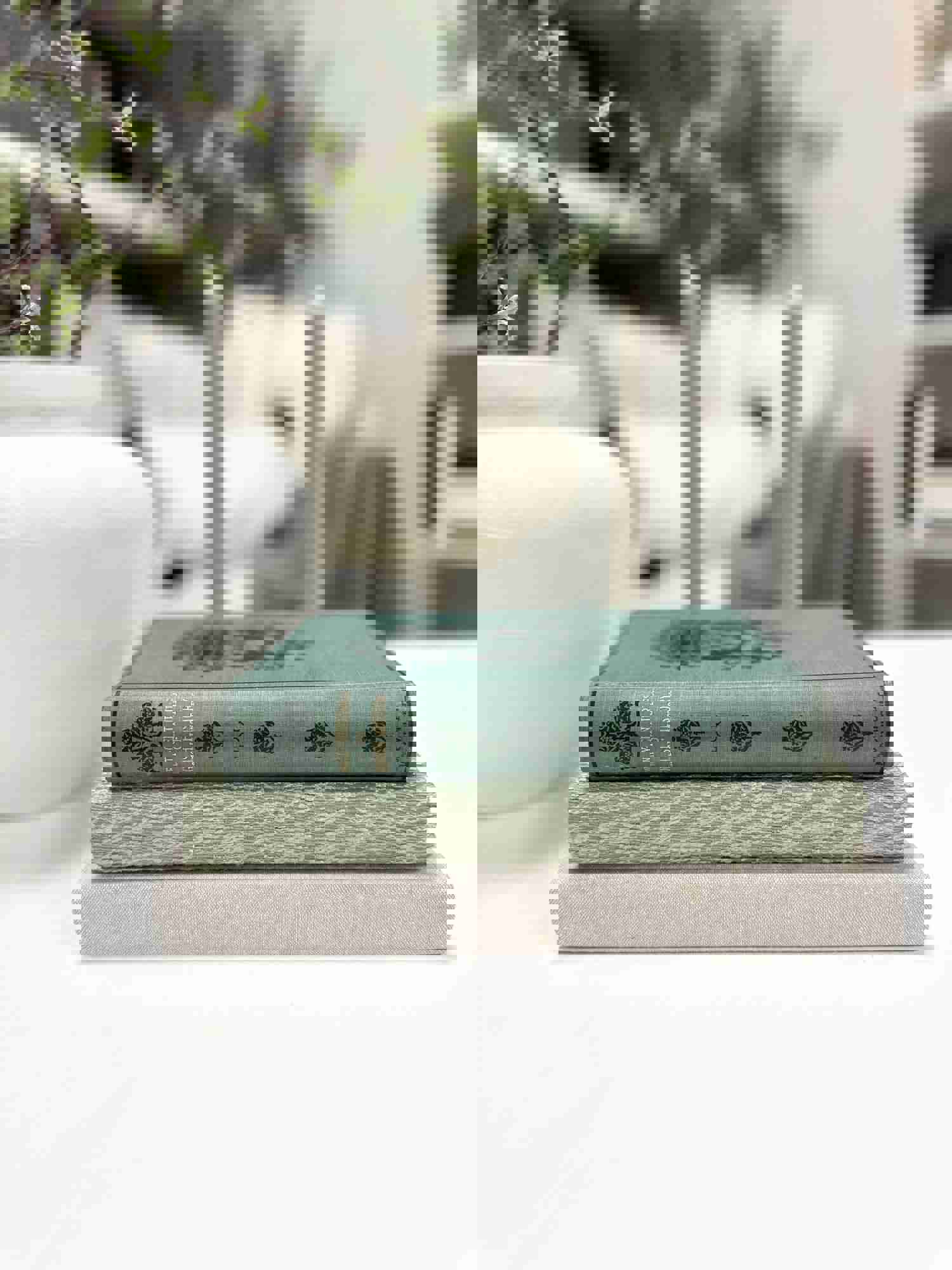 Decorative Book Bundle Set for Home Decor
