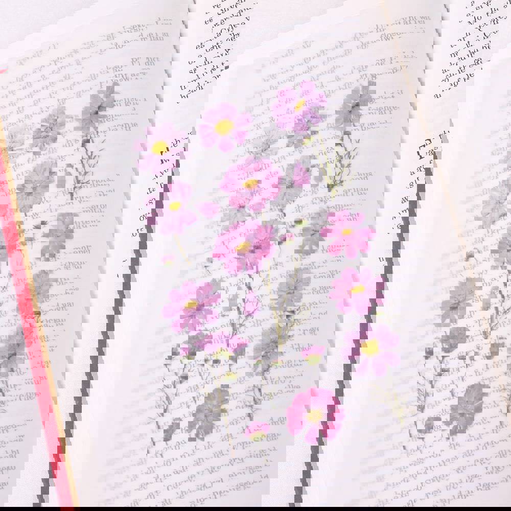 Appree Pressed Flower Stickers - Cosmos