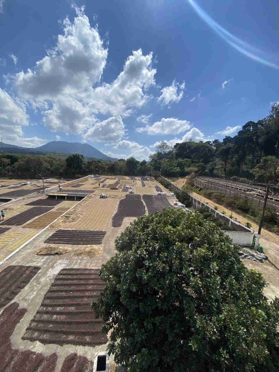 Organic Coffee & Tea Sample Gift Pack - Specialty Multipack Sampler