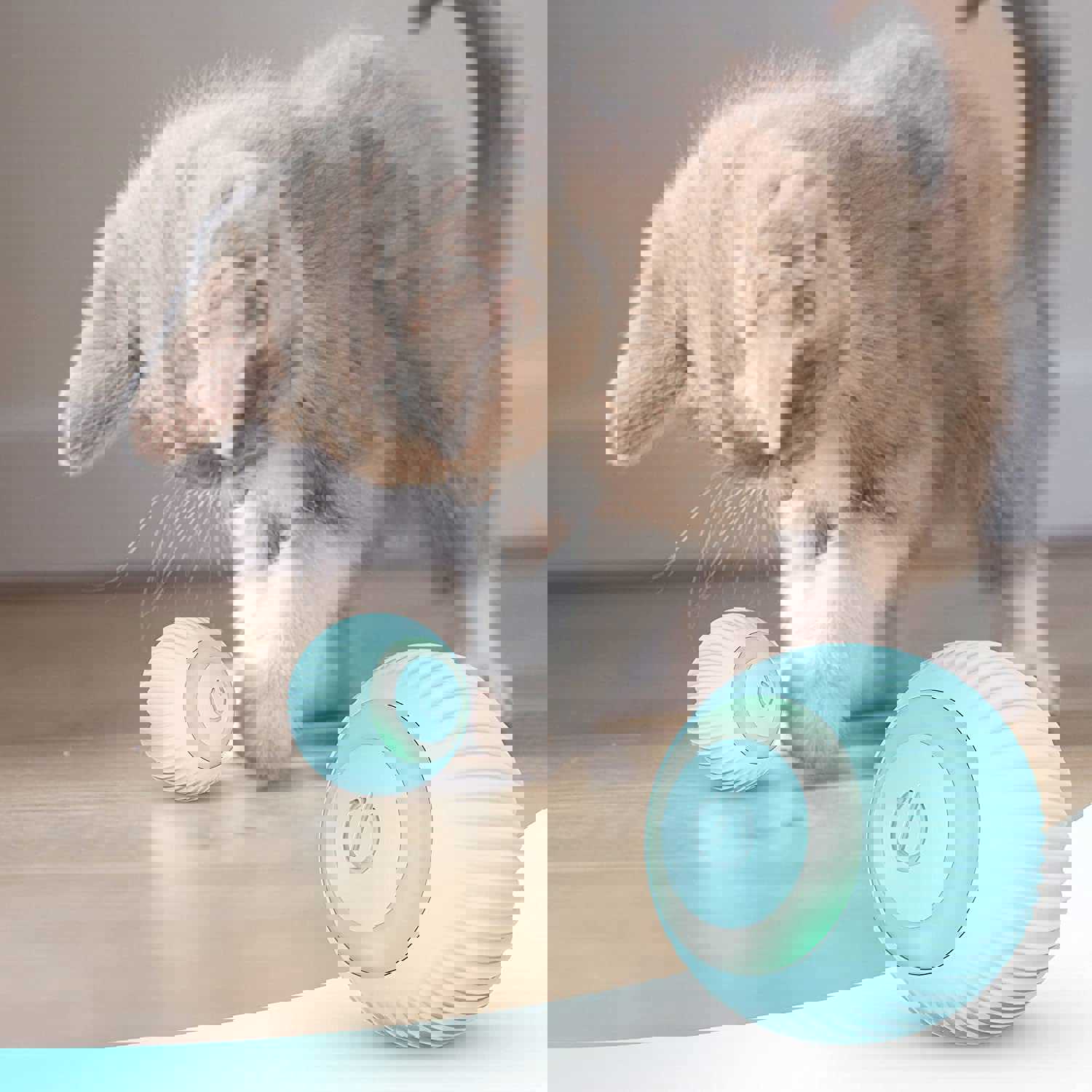 IOKHEIRA Cat Ball Interactive Cat Toys - USB Rechargeable, 360° Rotating with LED Light