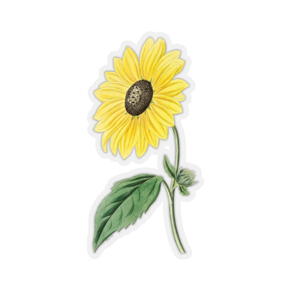 California Sunflower Decal - Nature Bloom Stem Floral Yellow Vinyl Sticker for Laptop, Waterbottle, Tumbler, Car Bumper, Wall