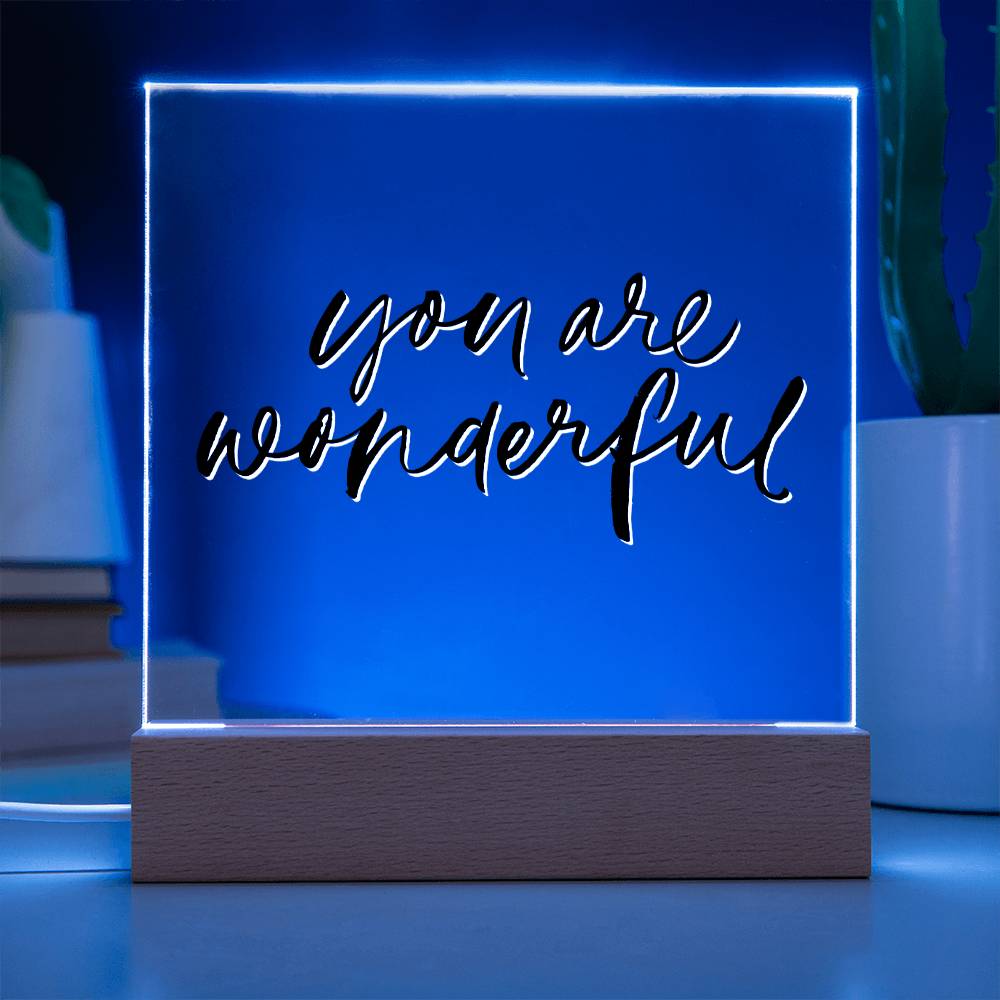 You Are Wonderful - Motivational Acrylic with LED Night Light - Inspirational Home Decor - Encouragement Gift