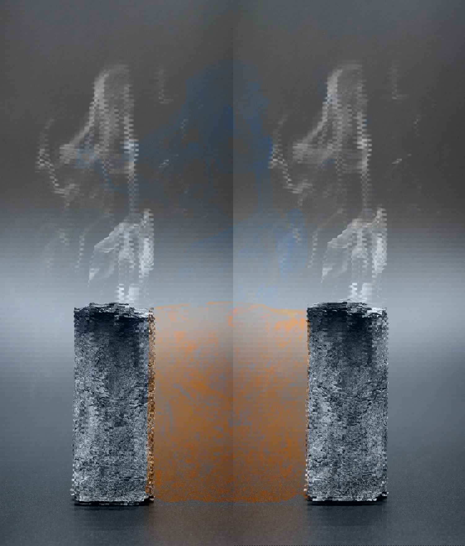 Foodie Power Blocks - Barrel-Aged Smoking Wood Chips (Cognac, Red Wine, Whiskey, Sherry Wine)