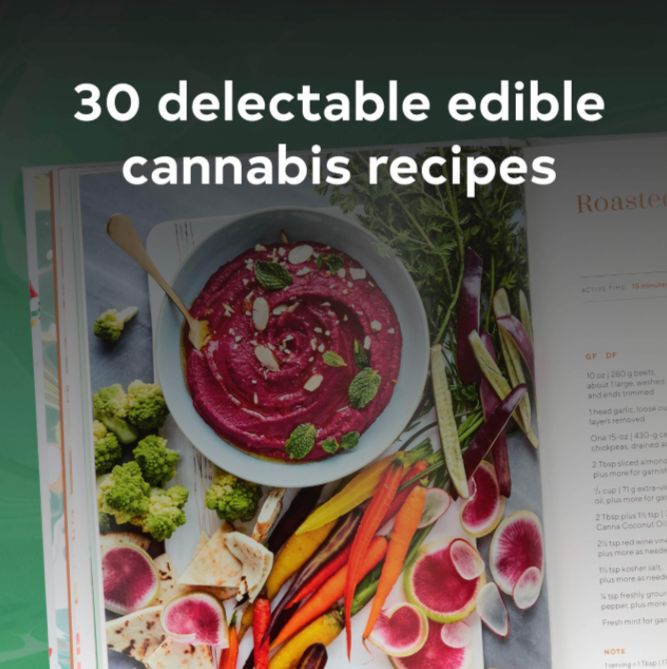 Edibles: Small Bites for the Modern Cannabis Kitchen