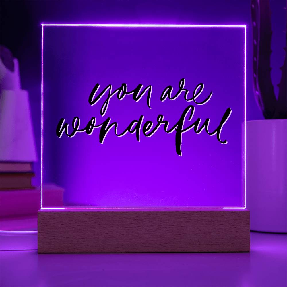 You Are Wonderful - Motivational Acrylic with LED Night Light - Inspirational Home Decor - Encouragement Gift