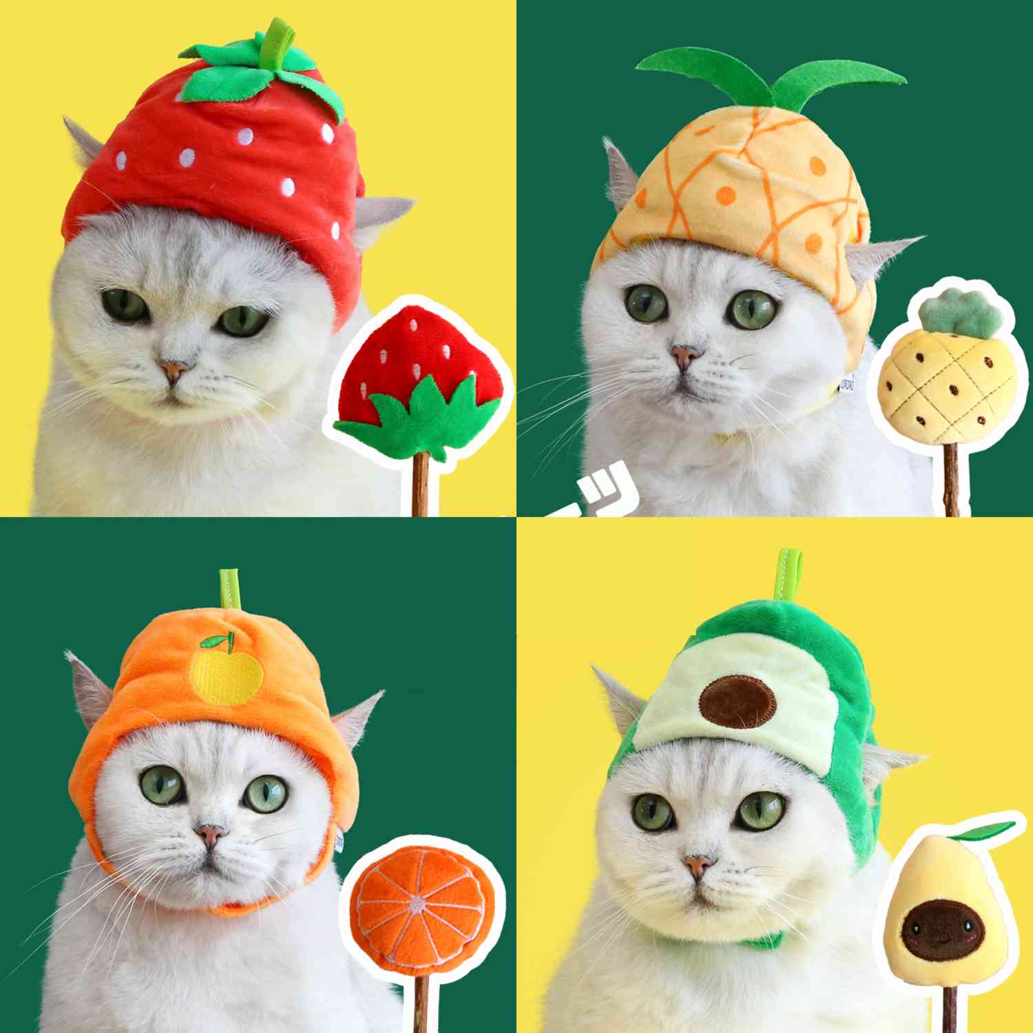 Fruit Hat & Molar Stick Set for Pets: Fun Photography Accessories, Cat Supplies