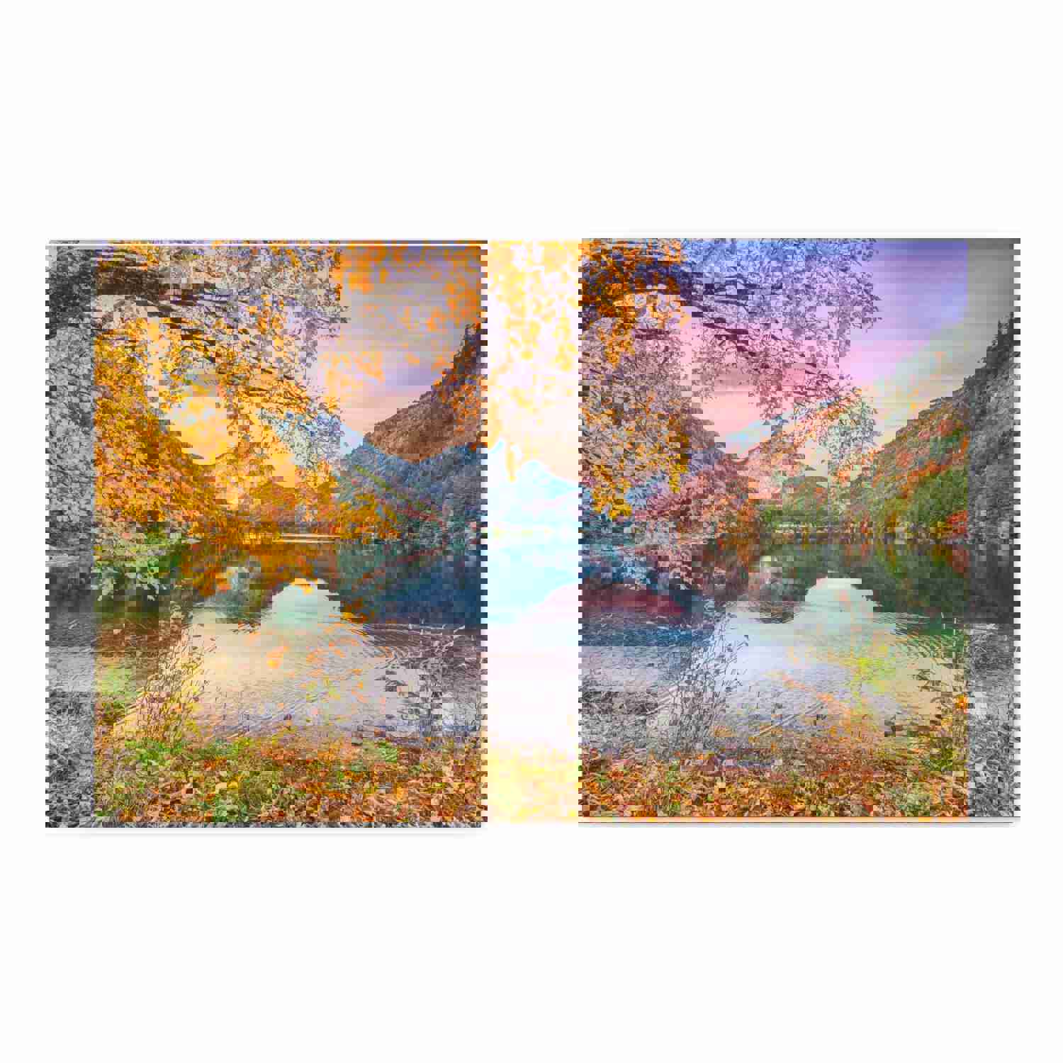 Stunning Autumn Scene Forest Floral Nature Photography Canvas Wall Art