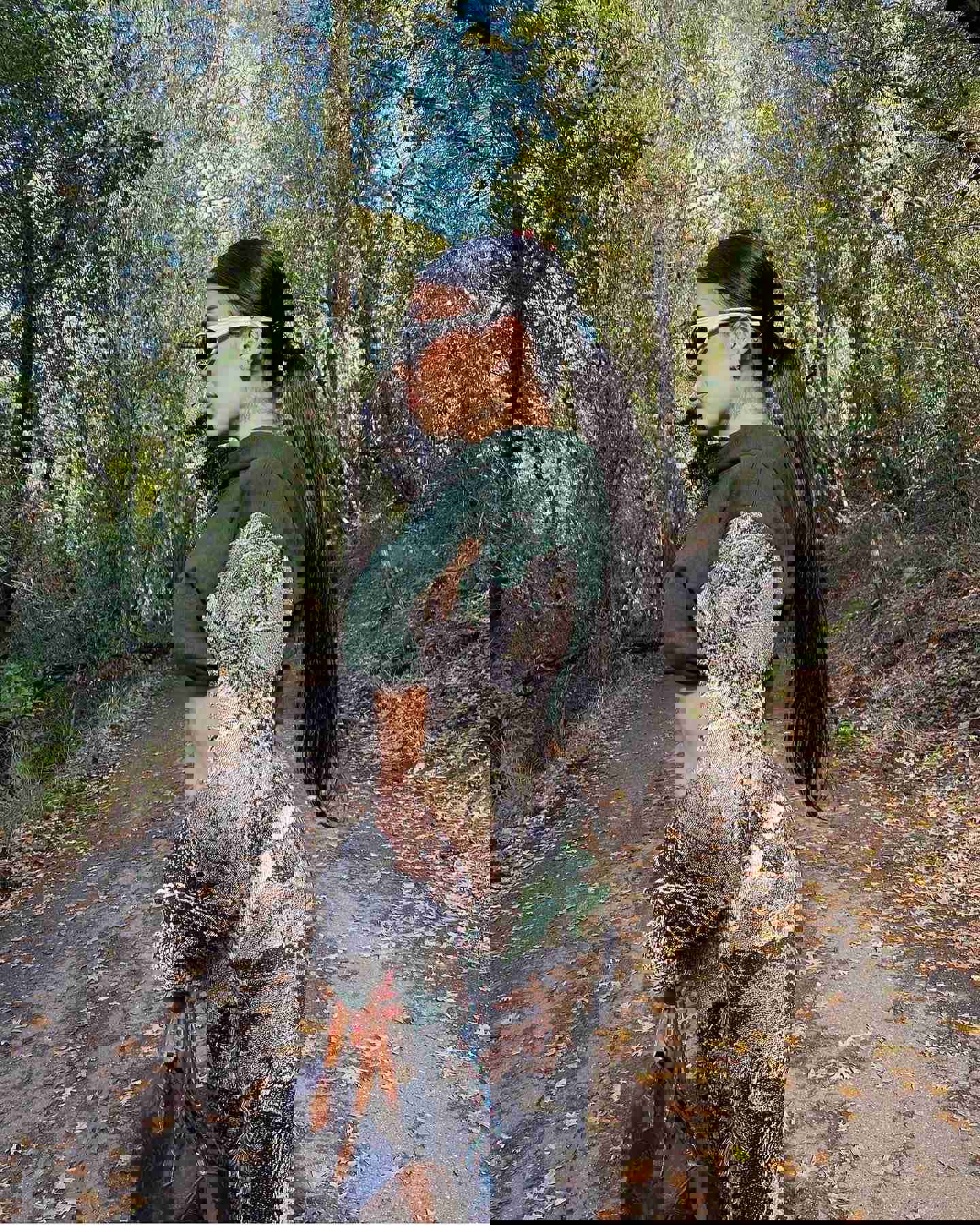 Forest Runner Blanket Sleeves Hoodie - Customized Unisex Crewneck