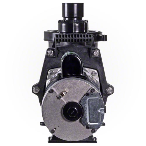 Waterway Champion 1 HP Pump - Energy Efficient