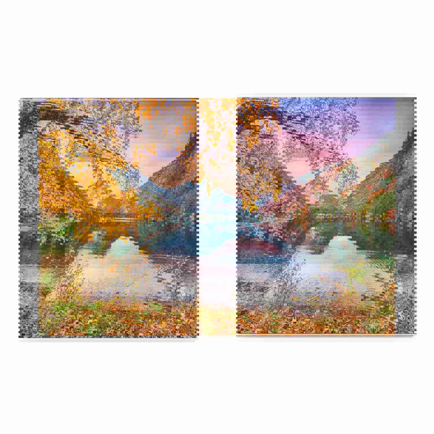 Stunning Autumn Scene Forest Floral Nature Photography Canvas Wall Art