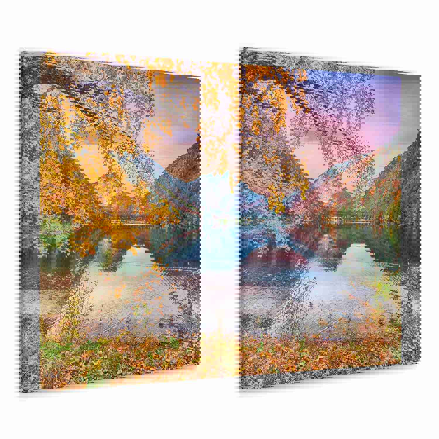 Stunning Autumn Scene Forest Floral Nature Photography Canvas Wall Art