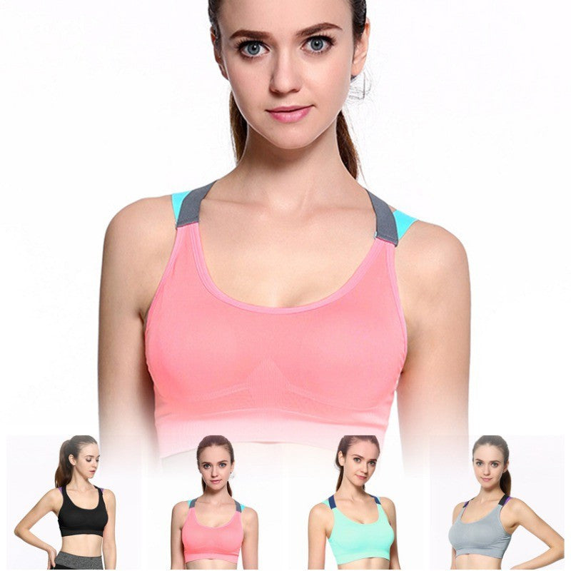 Seamless Tricolor Sports Bra - Push Up, Padded, Anti-Sweat