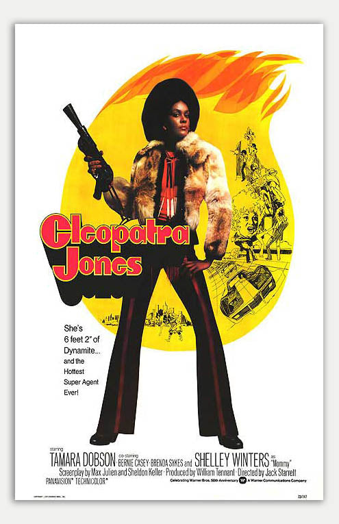 Cleopatra Jones - 11 x 17 Movie Poster (1973 Reprint)