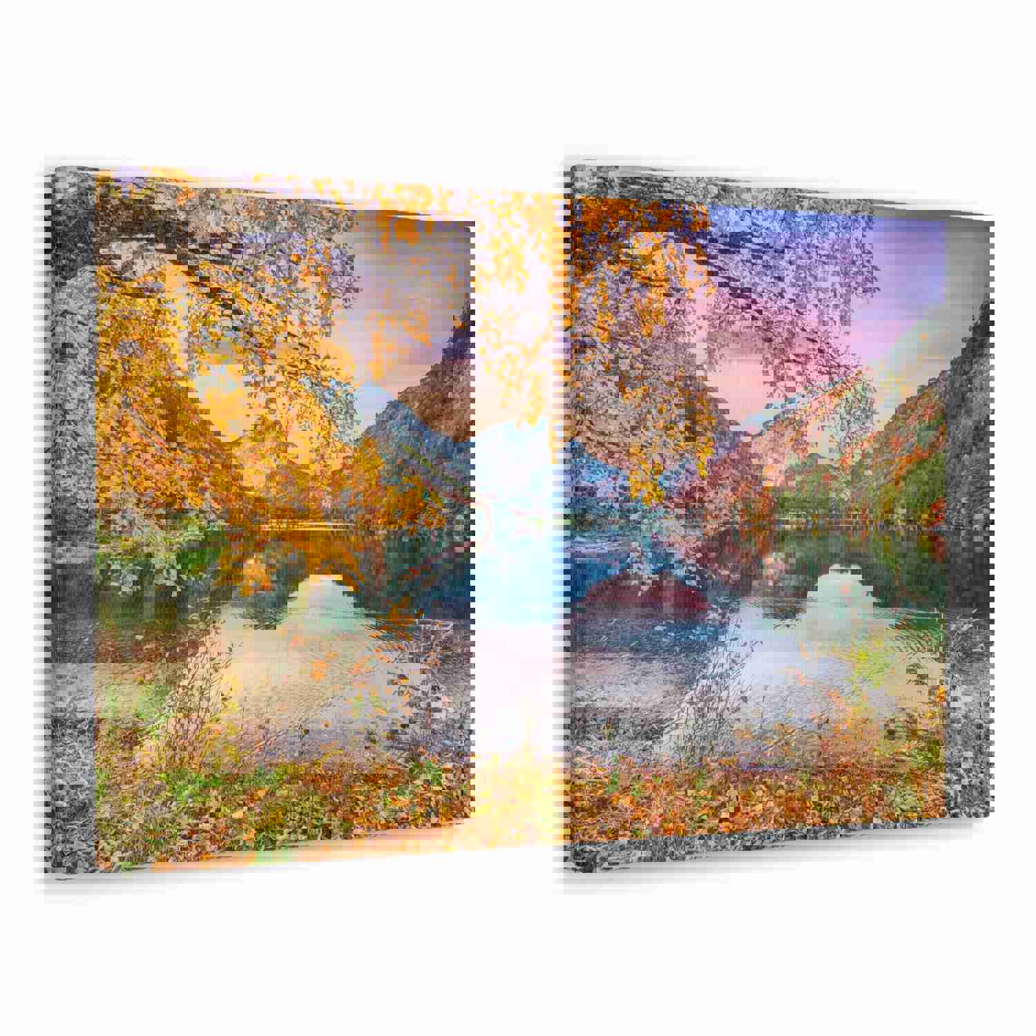 Stunning Autumn Scene Forest Floral Nature Photography Canvas Wall Art