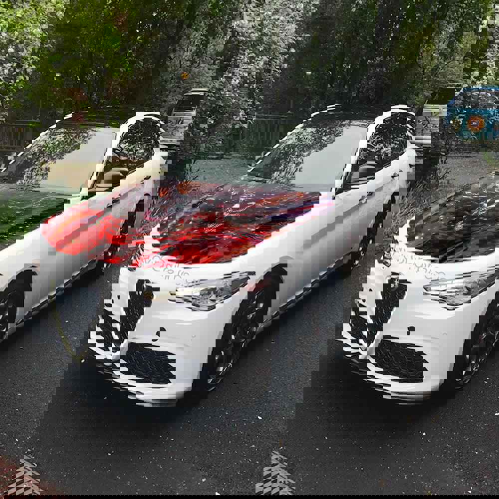 Venom Itasha Car Vinyl Hood Wrap Decal Sticker