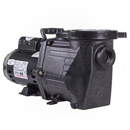 Waterway Champion 1 HP Pump - Energy Efficient