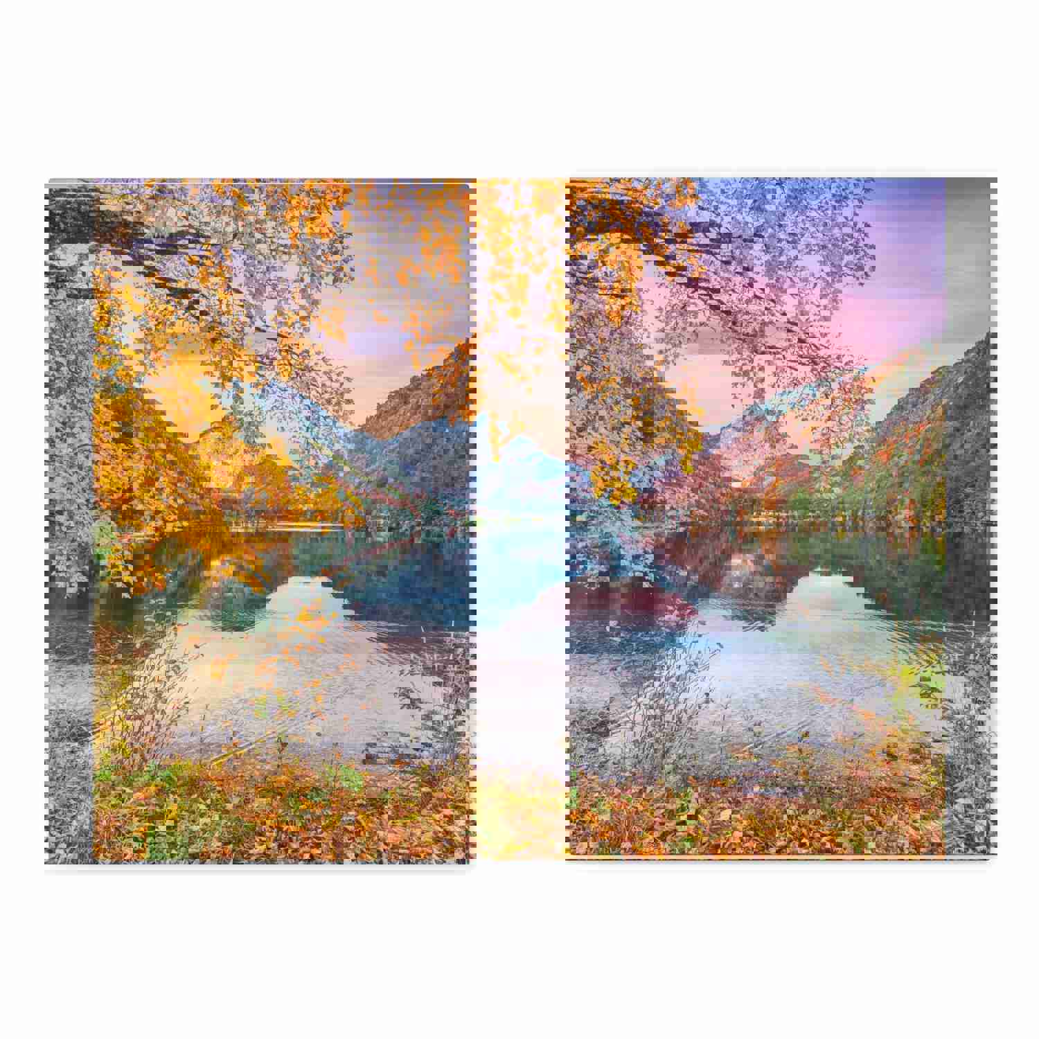 Stunning Autumn Scene Forest Floral Nature Photography Canvas Wall Art