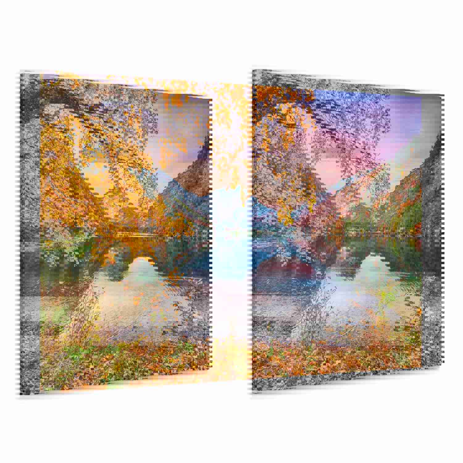 Stunning Autumn Scene Forest Floral Nature Photography Canvas Wall Art