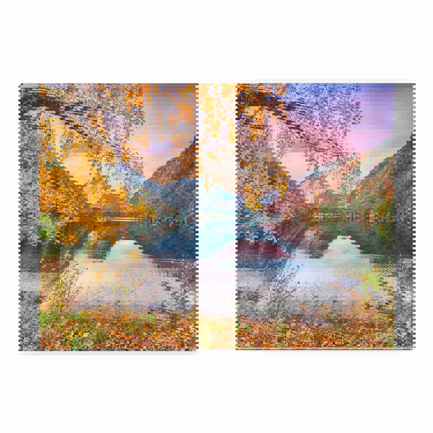Stunning Autumn Scene Forest Floral Nature Photography Canvas Wall Art