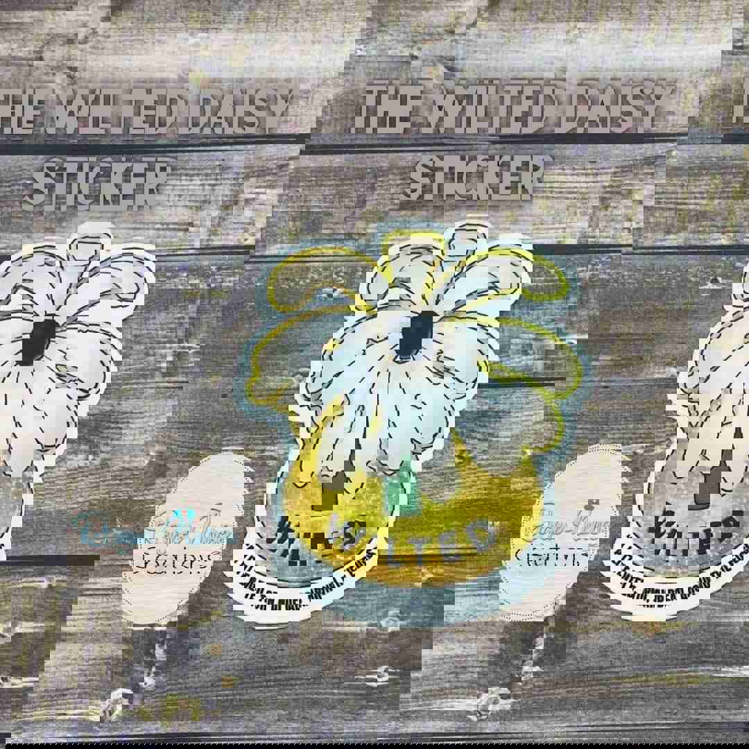 Matte Finish Wilted Daisy Flower Sticker - White Background