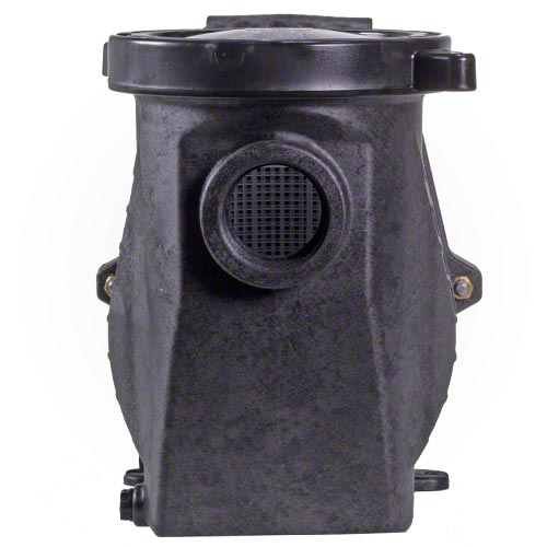 Waterway Champion 1.5 HP High Performance Pump - Energy Efficient & Quiet