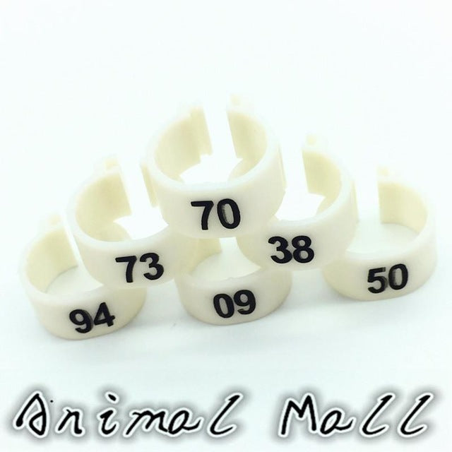 100 Pcs Digital Foot Ring for Pet Birds - 10 Colors